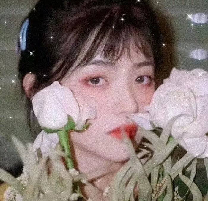 罗宾汉
