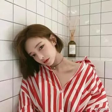 罪网